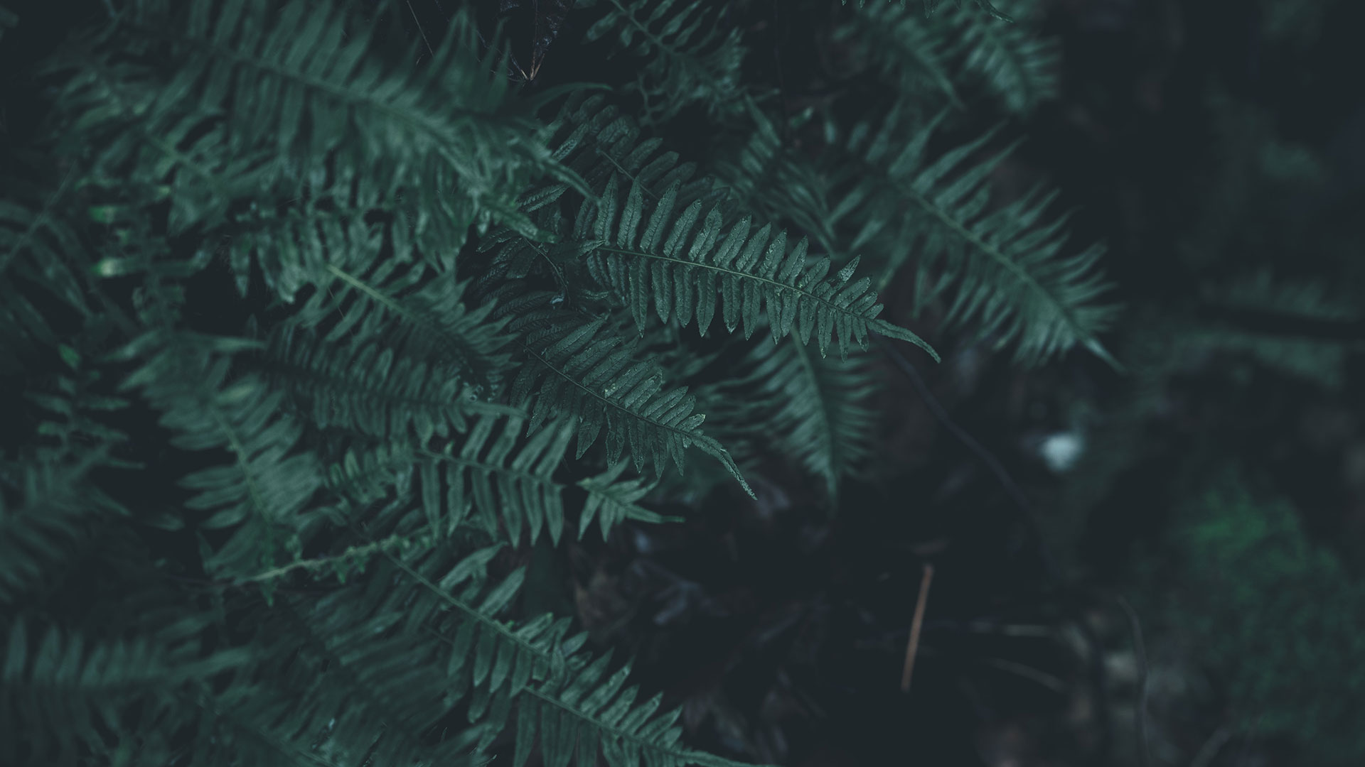 SLIDE-01
